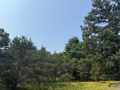 624 W 12th St, Baldwin, MI 49304 - photo 7