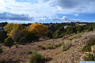 4525 Schiff Trail unit 3, Silver City, NM 88061 - photo 3