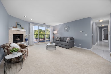 815 Leicester Rd unit A219, Elk Grove Village, IL 60007 - photo 3