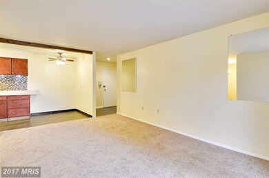 2307 Greenery Ln unit T3, Silver Spring, MD 20906 - photo 6