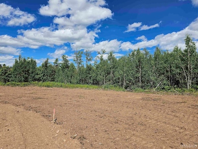 TBD N Greenwood - 3 Dr, Ishpeming, MI 49849 - photo 2