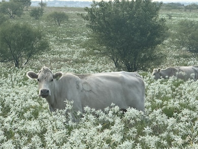 381 Private Road 4512, Decatur, TX 76234 - photo 3