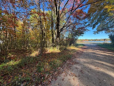 V L 1 47a North Tallman Lake Rd, Fountain, MI 49410 - photo 7