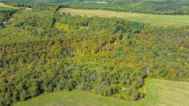 10373 Lookout, Prattsburgh, NY 14873 - photo 7