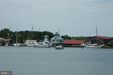 1101 Riverview Terrace, Saint Michaels, MD 21663 - photo 6