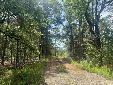 001-01049-000 Cr 128, Calico Rock, AR 72519 - photo 4