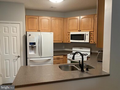 14314 Climbing Rose Way unit 106, Centreville, VA 20121 - photo 7