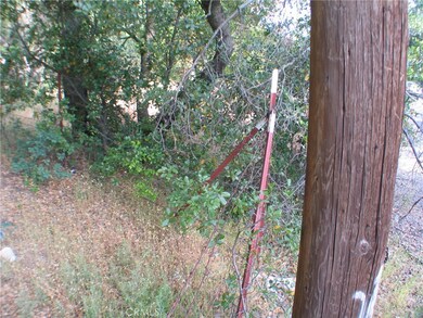 0 Ophir Rd unit OR23091445, Oroville, CA 95966 - photo 5