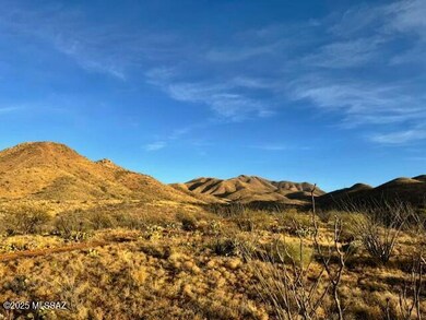 Backyard View