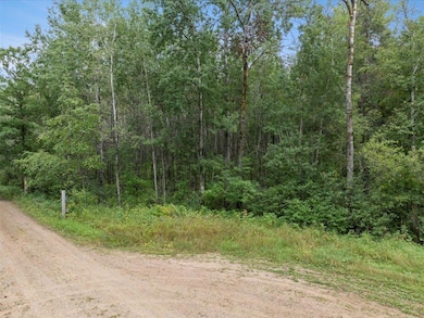 TBD 290th St, Two Inlets Township, MN 56470 - photo 2