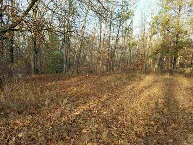 N7690 Us Highway 12/16, Camp Douglas, WI 54618 - photo 2