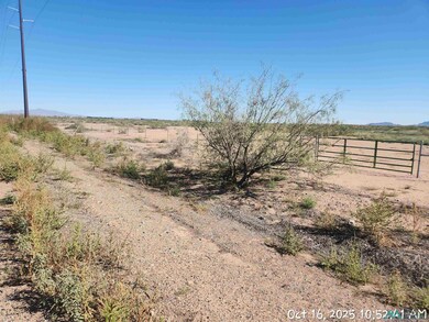 View of yard with a rural view