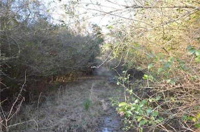 0 Bateman Rd, Franklinton, LA 70438 - photo 3