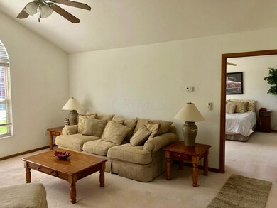 3017 Laurel Wind Blvd unit 3017, Lewis Center, OH 43035 - photo 7