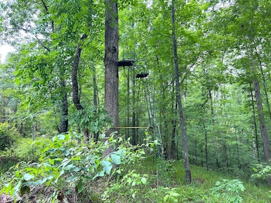 0 Mcdade Rd unit 23668134, Eatonton, GA 31024 - photo 2