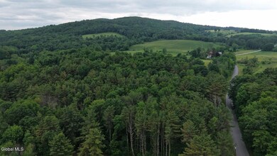 L20.4 Stevenson Rd, Cambridge, NY 12816 - photo 5