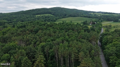 LC1 Stevenson Rd, Cambridge, NY 12816 - photo 5