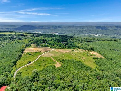 22 Blackberry Ln, Remlap, AL 35133 - photo 7