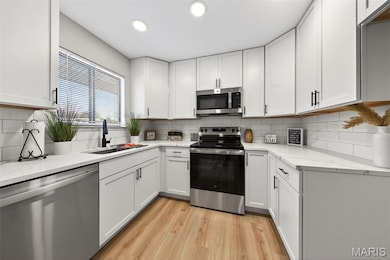 28 Jakes Ct unit E, O Fallon, MO 63366 - photo 4