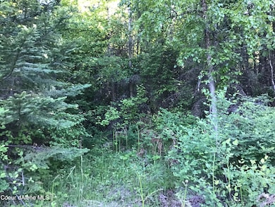 0 Fly Catcher Lts 13 & 14 unit 25-3423, St. Maries, ID 83861 - photo 2