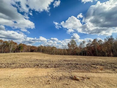 0 Firetower Rd unit 1, Centerville, TN 37033 - photo 3