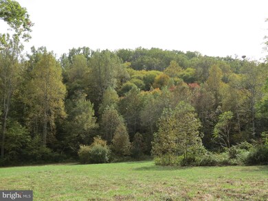 0 Jobbers Mountain Rd unit VARP107410, Sperryville, VA 22740 - photo 4