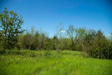 1767 W County Line Rd, Ratliff City, OK 73481 - photo 3