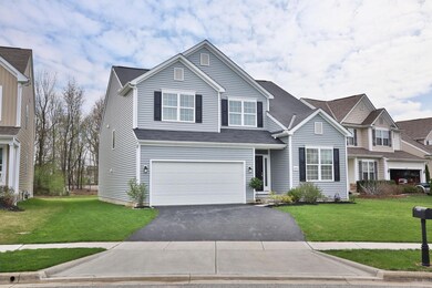 8591-CrookedMaple-04