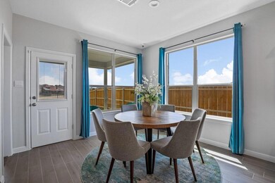 164 Lantana Trail, Boyd, TX 76023 - photo 6