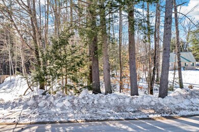 Off Durell Rd, Tamworth, NH 03886 - photo 4