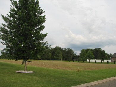 0 Lexington Cir unit 1838791, Manchester, TN 37355 - photo 3