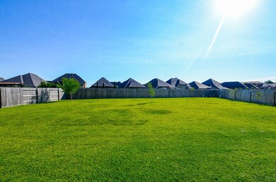 22302 Davenport Downs Ln, Richmond, TX 77469 - photo 4