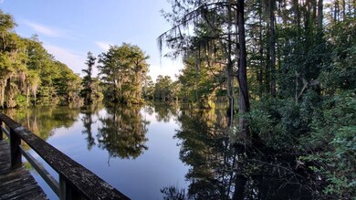 279 Mill Branch Rd, Warwick, GA 31796 - photo 4