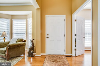 12509 Ventura Ln, Fredericksburg, VA 22407 - photo 6