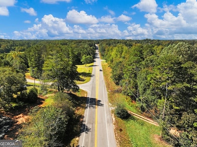 5519 Cleveland Hwy, Clermont, GA 30527 - photo 4