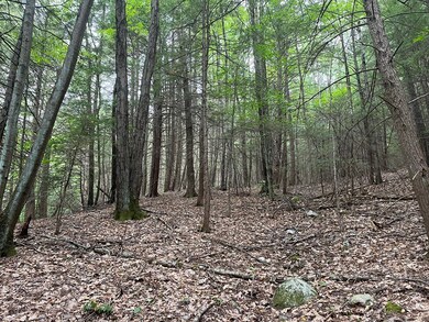 0 W Mountain Rd, Bernardston, MA 01337 - photo 6