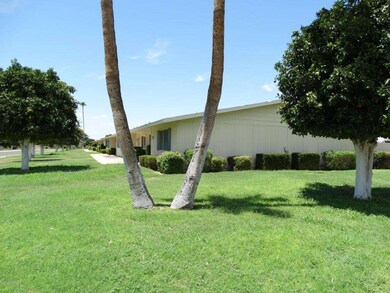 11114 W Desert Butte Dr, Sun City, AZ 85351 - photo 4