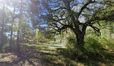 0 River Road 35 Acres Rd unit 2517144, Hammond, LA 70403 - photo 3