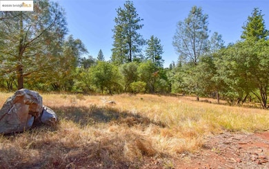 Par B Sawmill Flat Rd, Sonora, CA 95370 - photo 6