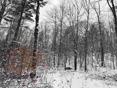 5732 Monument Hill Rd unit Lot 1, Castleton, VT 05735 - photo 3