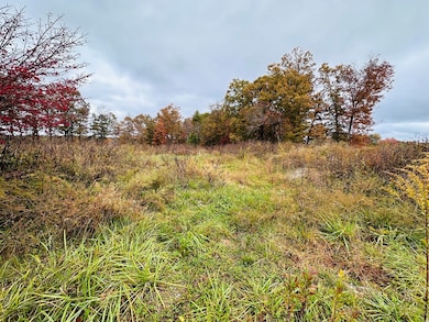 4.14 Acres Nashville Hwy, Deer Lodge, TN 37726 - photo 6