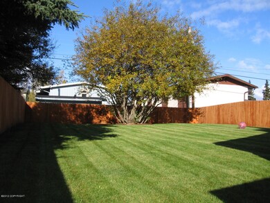 back yard