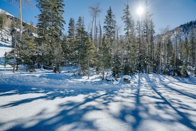 Lot 6 Porcupine Rd, Taos Ski Valley, NM 87525 - photo 4