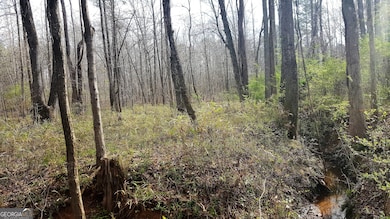 0 Stagecoach Rd unit 20.17 ACRES 10455441, Stockbridge, GA 30281 - photo 4