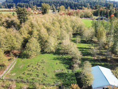 46128 276th Ave SE, Enumclaw, WA 98022 - photo 4