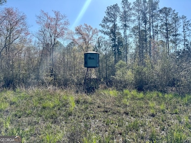 5790 Wooddell Dr, Waycross, GA 31503 - photo 7