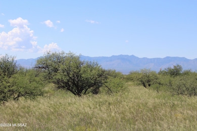 TBD E Naiche Rd unit 56, Saint David, AZ 85630 - photo 6