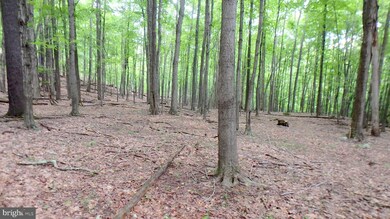 33 (LOT) Preserve Rd, Union, WV - photo 5