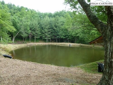 Top Of Boone Community Pond