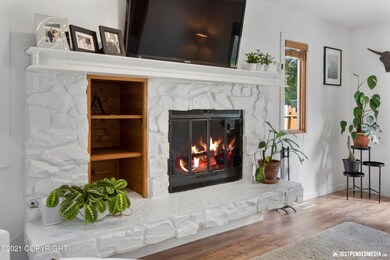 Gas/Wood Burning Fireplace